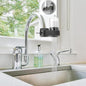 Dual-Spout Kitchen Sink Water Filter
